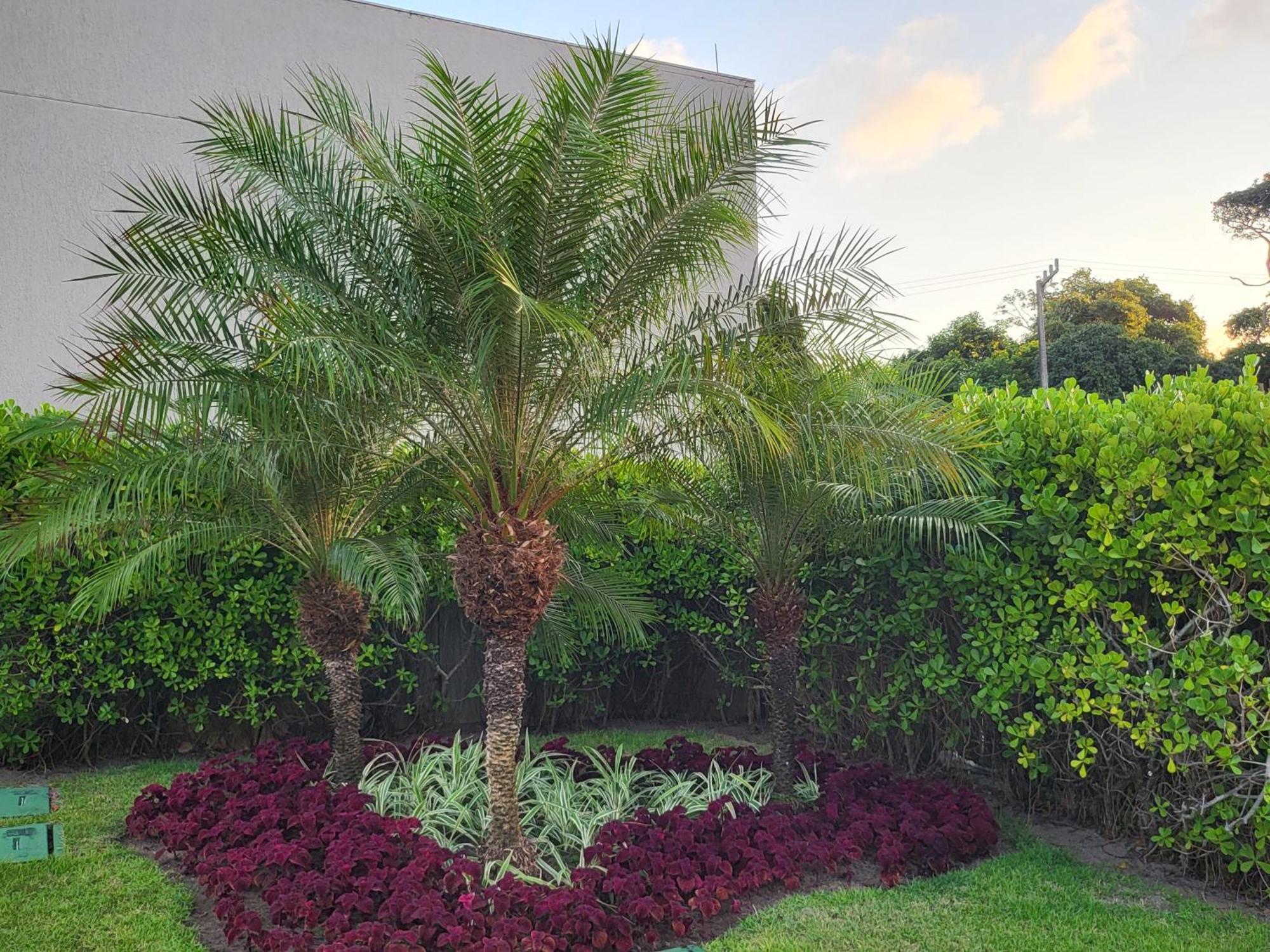 Boutique Ecolife Apartment Porto de Galinhas Luaran gambar