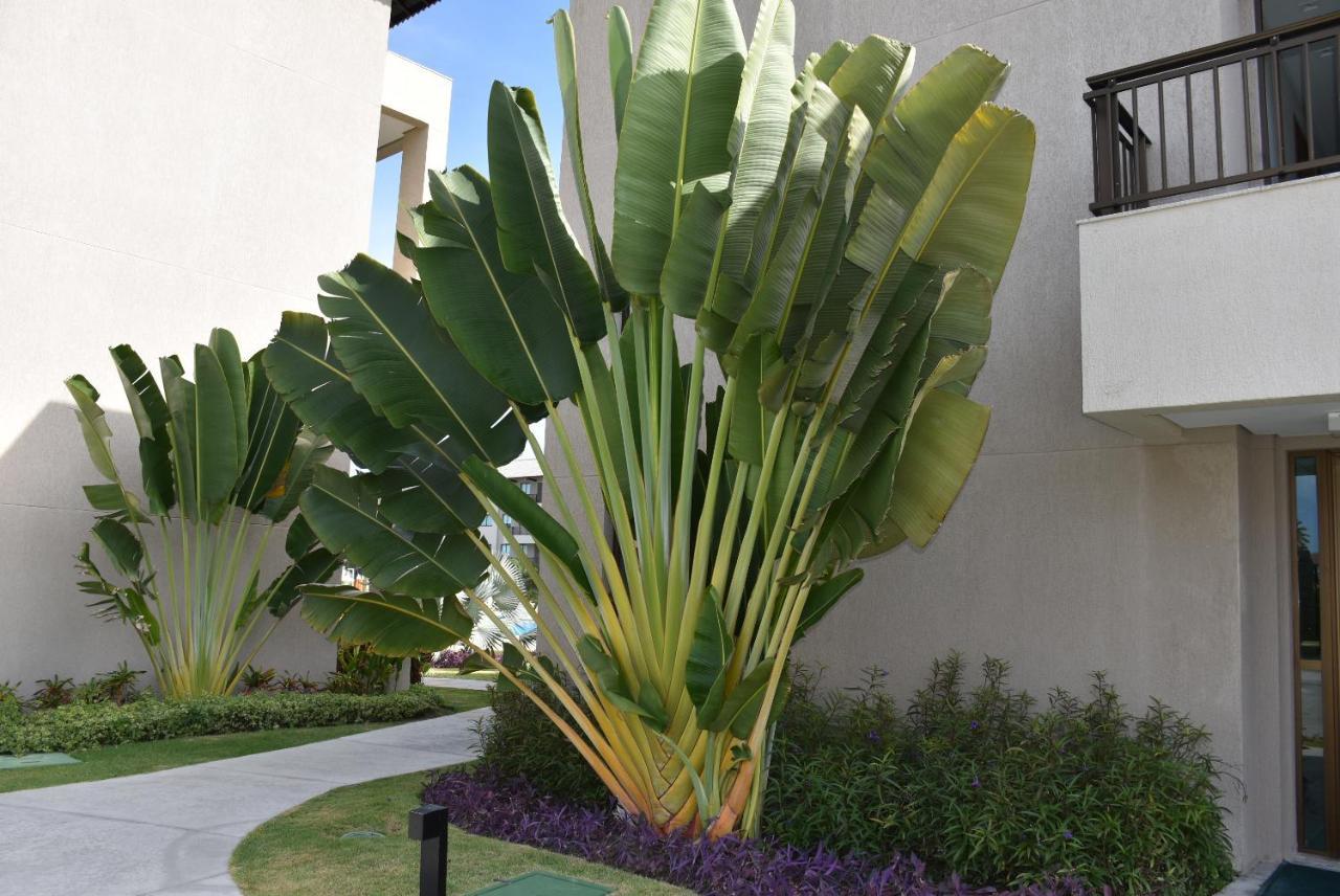 Boutique Ecolife Apartment Porto de Galinhas Luaran gambar